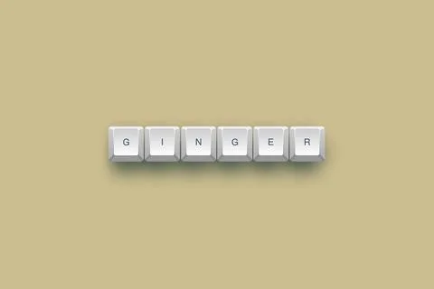 Ginger text on a 3d keyboard button with shadow concept series イラスト素材