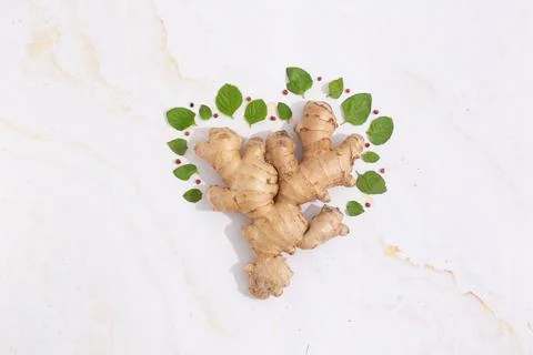 Ginger like a tree with mint leaves around flat lay concept of natural food Stock Photos