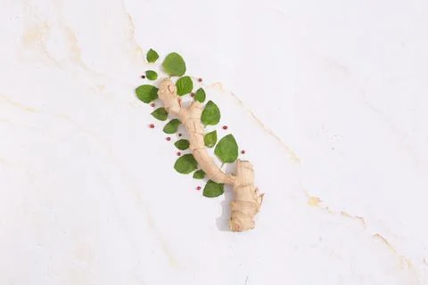 Ginger like a tree with mint leaves around flat lay concept of natural food Stock-Fotos