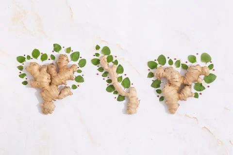 Ginger like a tree with mint leaves around flat lay concept of natural food Stock Photos