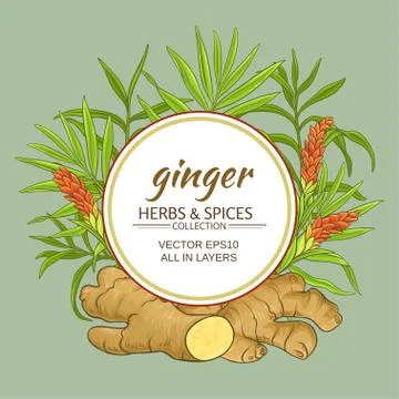 Ginger vector frame Stock Illustration