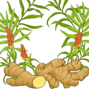 Ginger vector frame Stock Illustration
