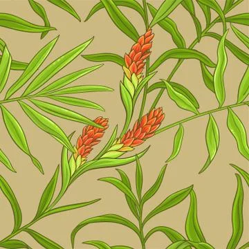Ginger vector pattern 库存插图