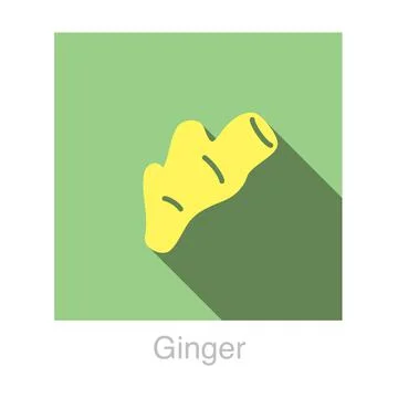 Ginger Vegetables food flat icon vector illustration Stock Illustration