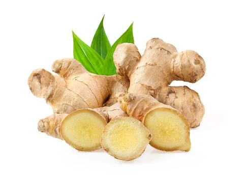 Ginger on white background. depth of field Stock Photos
