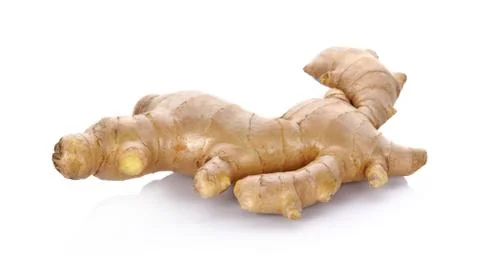 Ginger on white background Foto stock