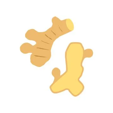 Ginger Whole and half vector illustration isolated on white background Stock Illustration