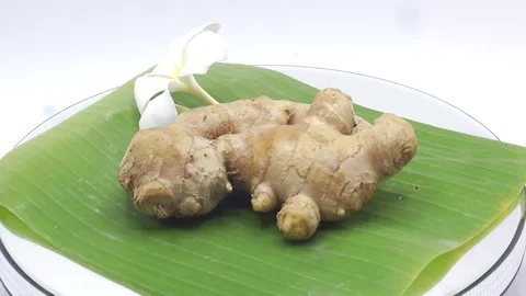 Ginger, Zingiber officinale Stock Footage 124901451