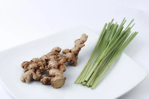 Ginger_1 Stock Photos