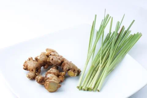 Ginger_2 Stock Photos