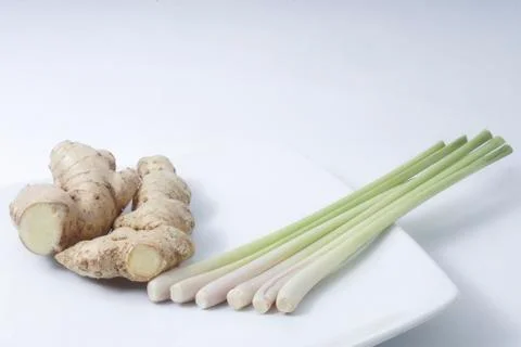 Ginger_3 Stock Photos