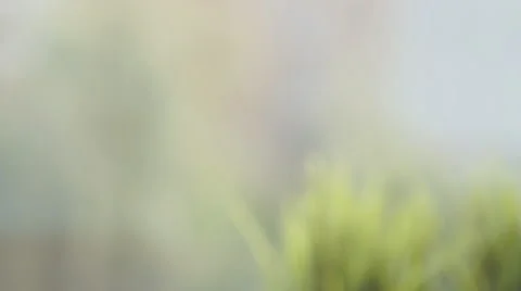 Gingerbread Cake and Cup of Tea Stock Footage 68972199