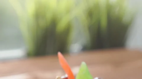Gingerbread Cake and Cup of Tea Stock Footage 68972274