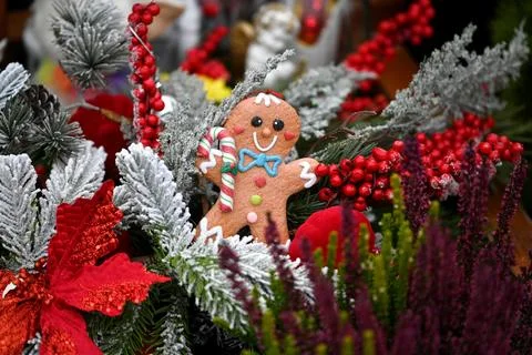 Gingerbread, Christmas cake on Christmas tree. Christmas decor Stock Photos