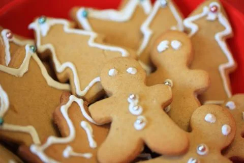 Gingerbread Christmas Photos