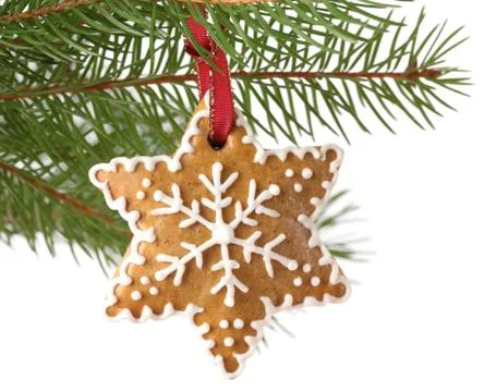 Gingerbread cookie Stock Photos