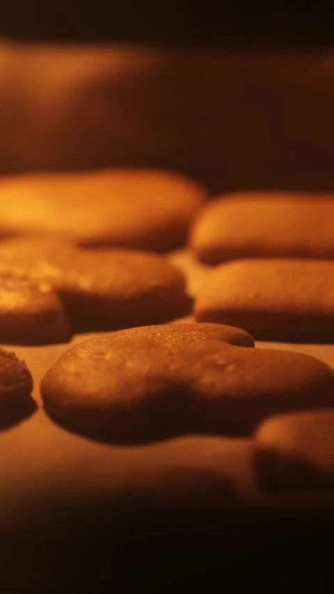 Gingerbread Cookies Baking in Oven Vertical Left-to-Right Slide Shot Video stock 321832010