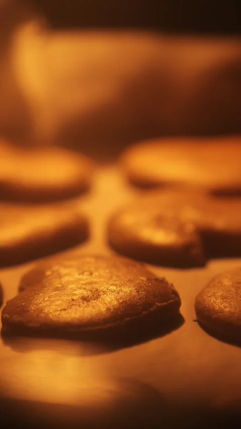Gingerbread Cookies Baking on Tray Inside Oven Vertical Static Shot Stock Footage 321832021