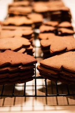 Gingerbread Cookies on cooling rack Stock Photos