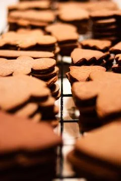 Gingerbread Cookies on cooling rack Stock Photos
