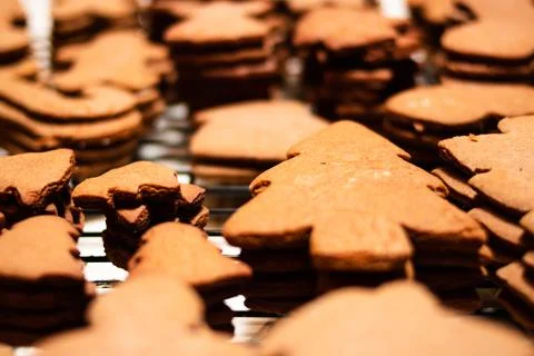 Gingerbread Cookies on cooling rack Stock Photos