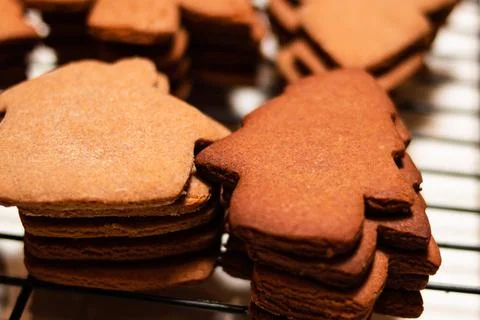 Gingerbread Cookies on cooling rack Stock Photos