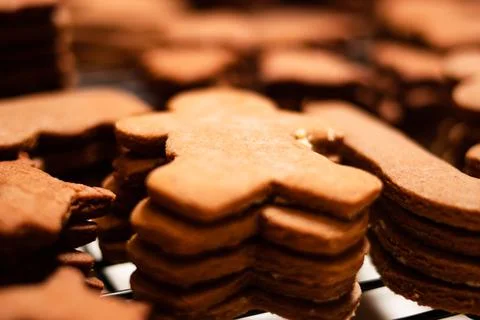 Gingerbread Cookies on cooling rack Stock Photos