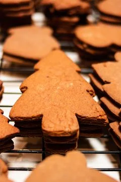 Gingerbread Cookies on cooling rack Stock Photos