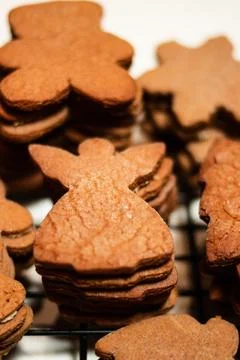 Gingerbread Cookies on cooling rack Stock Photos