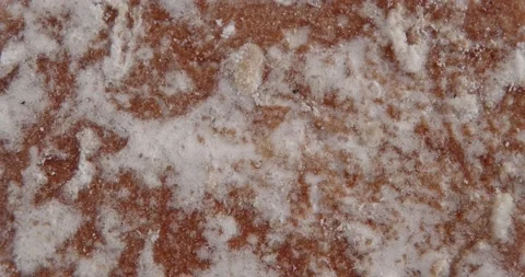 Gingerbread in glaze close-up. Abstract surface. 動画素材 167582142