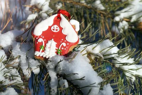 Gingerbread house on a pine branch Stock Photos