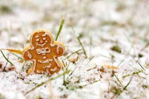 Gingerbread man cookie standing outside in snow Stock Photos