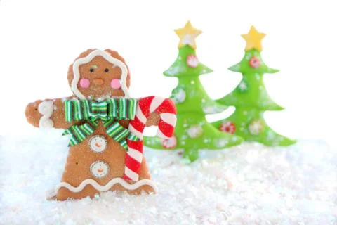 Gingerbread man winter Stock Photos