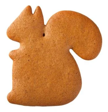 Gingerbread Squirrel Cookie Stock Photos
