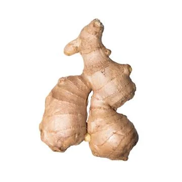 Ginger.Ginger root.A means to raise the immune system. Stock Photos