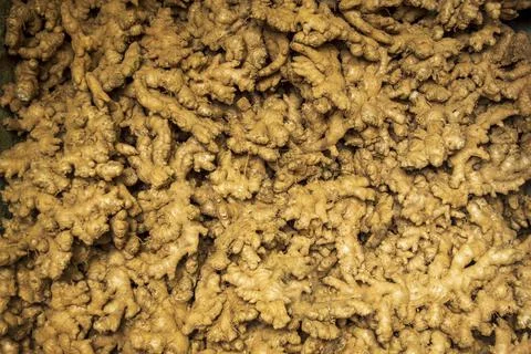 Gingers forming texture pattern background 写真素材