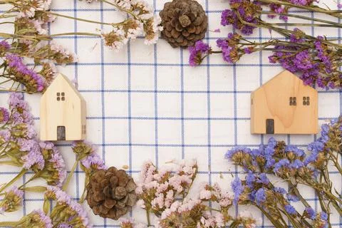 Gingham background concept, Model house and pine cones with statice flower on Stock Photos