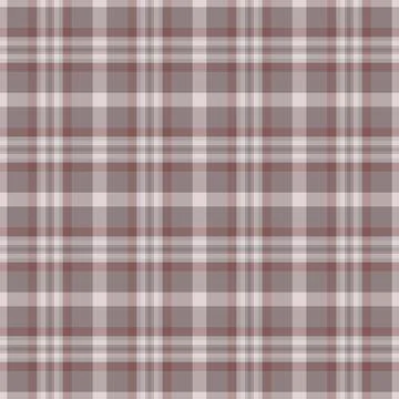 Gingham check fabric pattern with a structured check arrangement and a woven  Stock Illustration