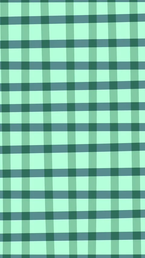 Gingham Hand drawn Background Pattern Video stock 330662891