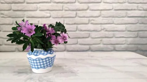 Gingham pattern vase with pink mallow flowers Stock Photos