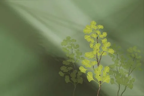 Gingko biloba Stock Photos