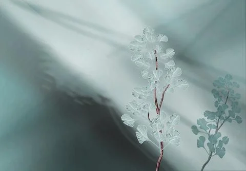 Gingko biloba 库存照片