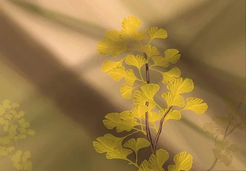 Gingko biloba 库存照片