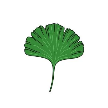 Gingko leaf doodle icon, vector hand draw illustration Stock Illustration