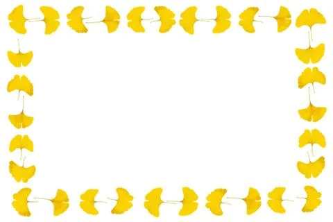 Gingko leaf frame Stock Photos