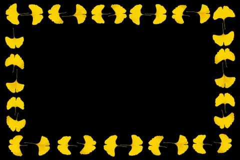 Gingko leaf frame Stock Photos