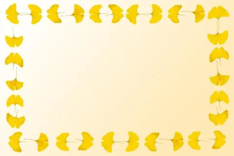 Gingko leaf frame Stock Photos