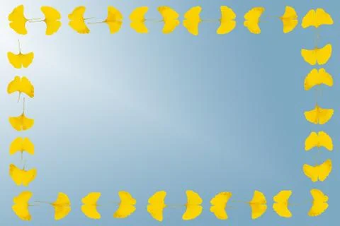 Gingko leaf frame Foto stock