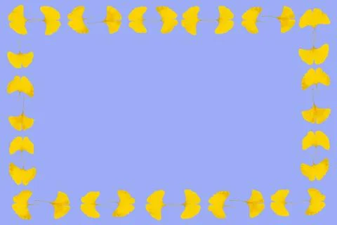 Gingko leaf frame Stock Photos