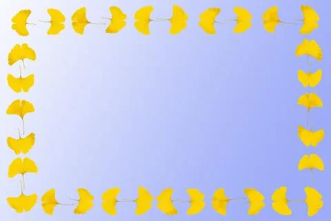 Gingko leaf frame Stock Photos
